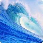 Проект "На волне"