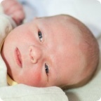 Александр Шульга