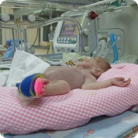 Много хрупких жизней.