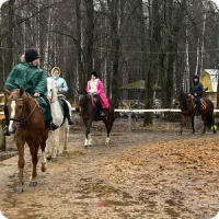 Обучение верховой езде